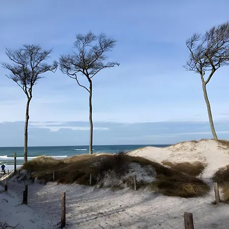 Apartamento Und Kultur