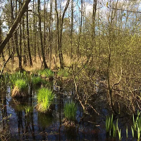 Apartamento Und Kultur Prerow