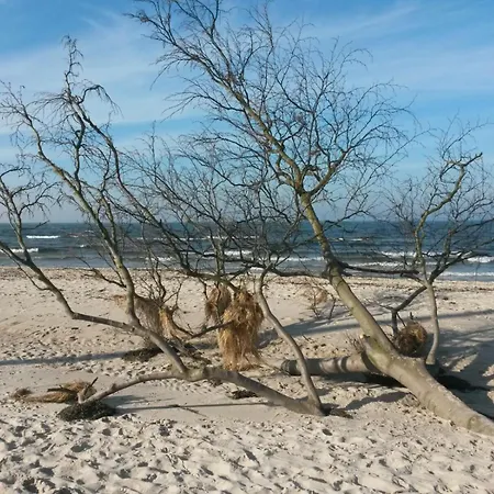 Und Kultur Apartamento Prerow