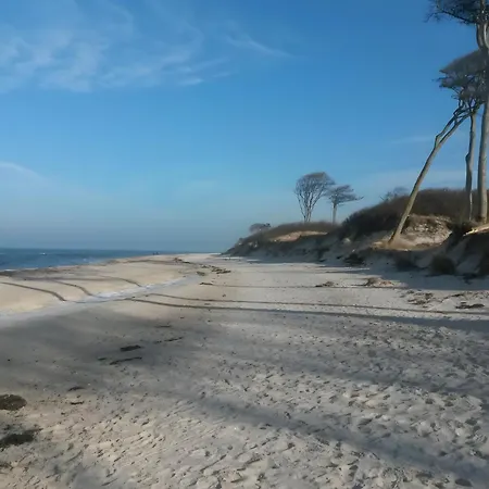 Und Kultur Apartamento *